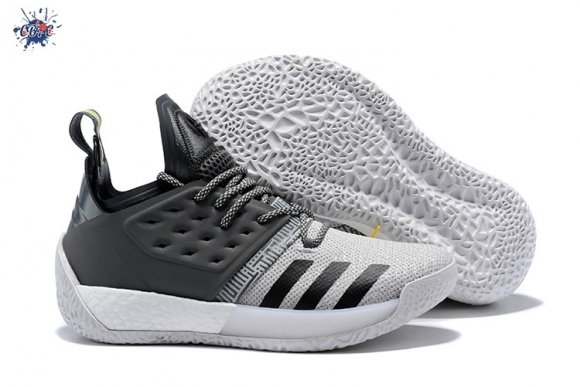 Meilleures Adidas Harden Vol. 2 Gris Blanc (ah2122)