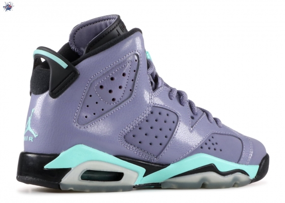 Meilleures Air Jordan 6 Retro Gg (Gs) Pourpre (543390-508)