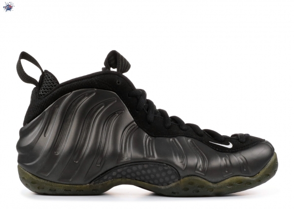 Meilleures Nike Air Foamposite One Noir (314996-031)