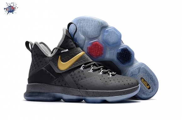 Meilleures Nike Lebron XIV 14 Gris Or