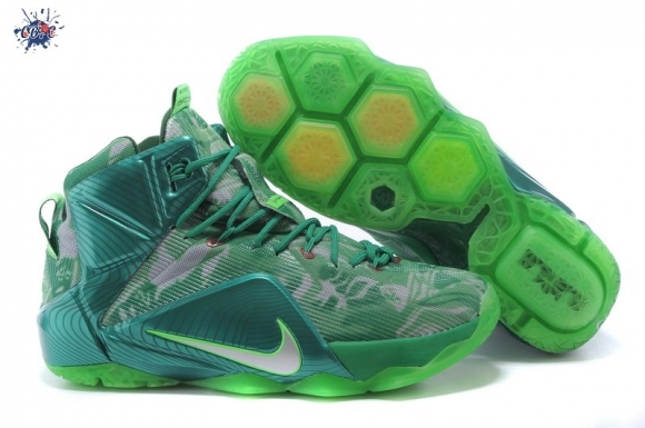 Meilleures Nike Lebron 12 Vert